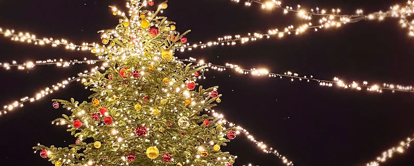 2025 Holiday Arts Guide: Top Culturally Festive Events to Enjoy this Season